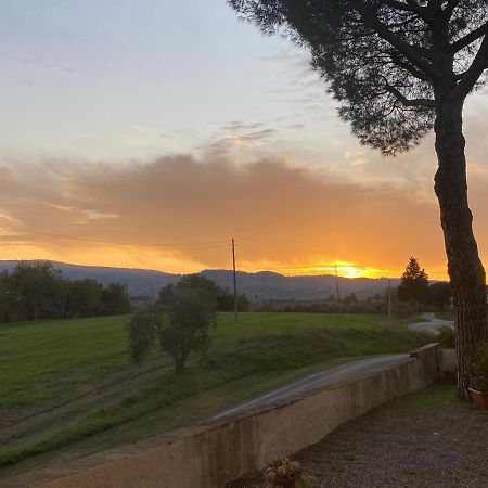 Tognazzi Casa Vacanze - La Collina Di San Gimignano Eksteriør bilde