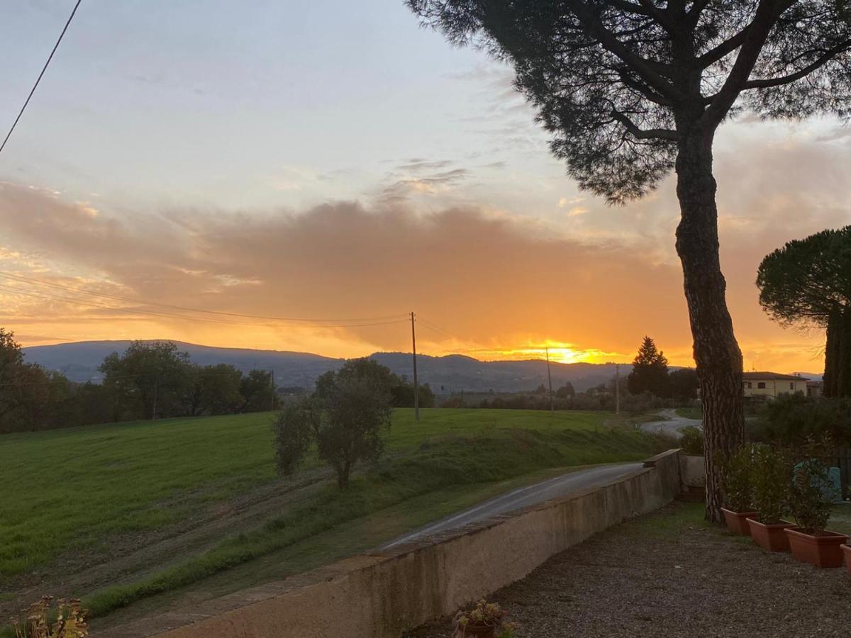 Tognazzi Casa Vacanze - La Collina Di San Gimignano Eksteriør bilde